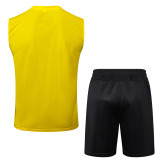 2024/25 Mens Borussia Dortmund Vest Short Training Suit yellow