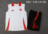 2024-25 Mens Brazil International  Vest Short training suit