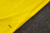 2024/25 Mens Borussia Dortmund Short Training Suit yellow