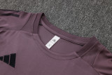 2024/25 Mens Arsenal Gray purple Training Short Suit