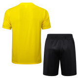 2024/25 Mens Borussia Dortmund Short Training Suit yellow
