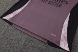 2024/25 Mens Arsenal Gray purple Training Short Suit