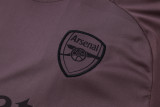 2024/25 Mens Arsenal Gray purple Training Short Suit