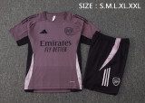 2024/25 Mens Arsenal Gray purple Training Short Suit