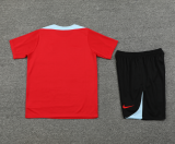2024-25 Mens   Barcelona Short Training Suit red