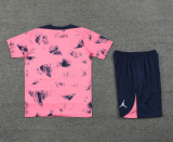 24-25 PSG Pink Training Short Suit