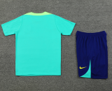 24-25 Brazil Fancy Cyan Training Short Suit
