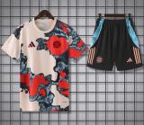 2025-26 Mens Bayern Munich Training Short Suit