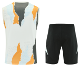 2025-26  Real Madrid Yellowish white Vest short training