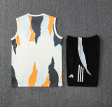 2025-26  Real Madrid Yellowish white Vest short training