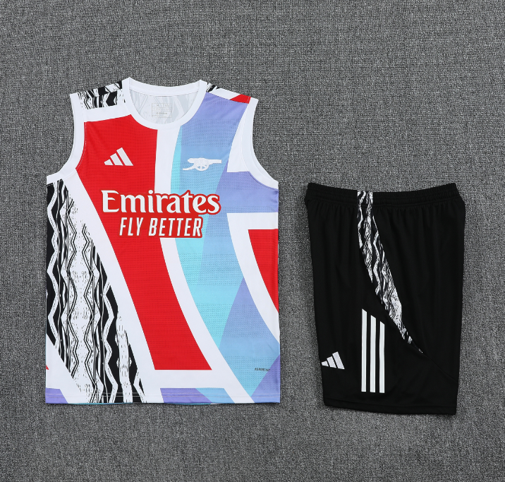 2024/25 Mens Arsenal Red blue black  vest  short Training Suit