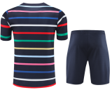 24-25Mens France color Training Short Suit