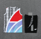 2024/25 Mens Arsenal Red blue black  vest  short Training Suit