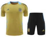 24-25 Mens  Argentina Light yellow Training Short Suit