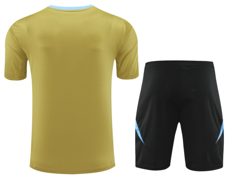 24-25 Mens  Argentina Light yellow Training Short Suit