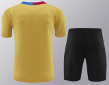 24-25 Mens Barcelona  yellow Training Short Suit