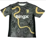 2025-26 Mens Chelsea  Commemorative Edition Black  Soccer Jersey