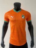 2025-26 Mens Ivory coast home Player  Soccer Jersey