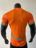 2025-26 Mens Ivory coast home Player  Soccer Jersey