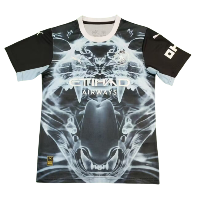 2025/26 Mens Manchester City  Concept version Fans   soccer Jersey