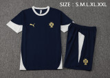 2024-25 Mens Portugal  white Training Short Suit