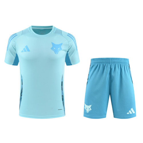 2025-26 Mens Cruzeiro Light blue Training Short Suit