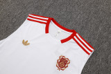 2025-26 Mens Bayern Munich white 125th Anniversary Edition Vest short training