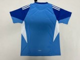 2025-26  Mens Manchester United  goalkeeper blue Soccer Jersey