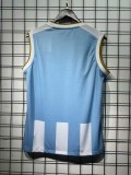 2025-26 Paysandu Home  Vest training jersey