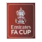 FA Cup（英格兰足总杯 ）