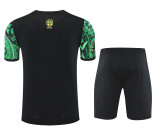 2025-26 Mens Brazil  green Short Training Suit