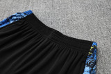 2025-26 Mens Brazil  blue  Short Training Suit