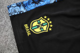 2025-26 Mens Brazil  blue  Short Training Suit