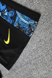 2025-26 Mens Brazil blue  vest  Short Training Suit