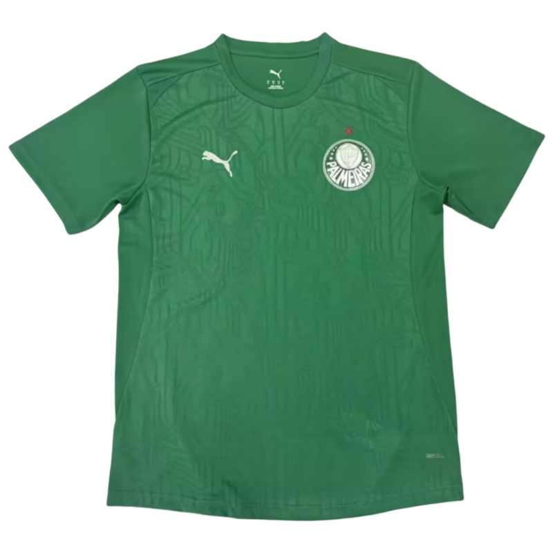 2025-26Mens  Palmeiras  goalkeeper  green Soccer Jersey