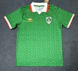 2025-26Mens  Ireland green POLO Fans Soccer Jersey