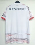 2025-26 Mens Bayern Munich Away  Authentic soccer Jersey