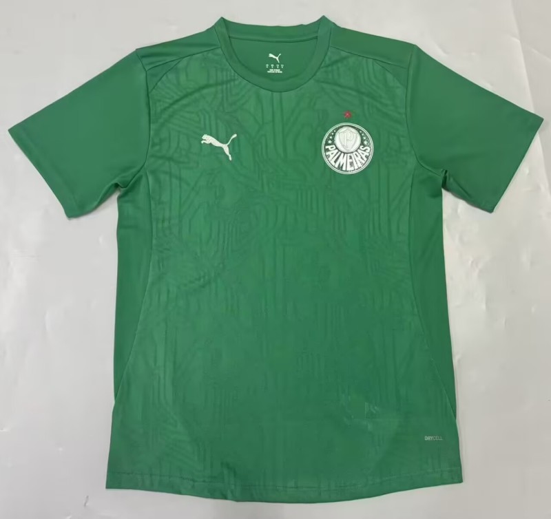 2025-26Mens  Palmeiras  goalkeeper  green Soccer Jersey