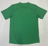 2025-26Mens  Palmeiras  goalkeeper  green Soccer Jersey