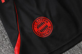 2025-26 Mens Bayern Munich black  short training  D2556#