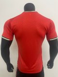 2025-26 Mens Portugal home red Player Soccer Jersey