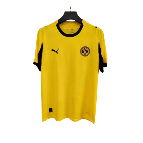 Mens Borussia Dortmund training suit yellow 2526