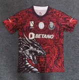 Mens Porto Special Edition Red  soccer Jersey 2526