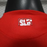 Men's Benfica Home red Player version soccer Jersey 2526