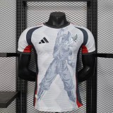 Player version Mens Mexico special edition grey soccer jersey 2526