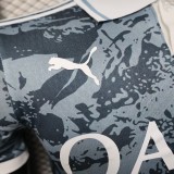 Mens Al-Ahli Saudi grey Player Special Edition soccer jersey 2025-26