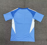 Mens Newcastle blue Goalkeeper soccer Jersey  2025-26