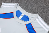 2025-26 Mens Bayern Munich Grey Retro Edition Vest short training