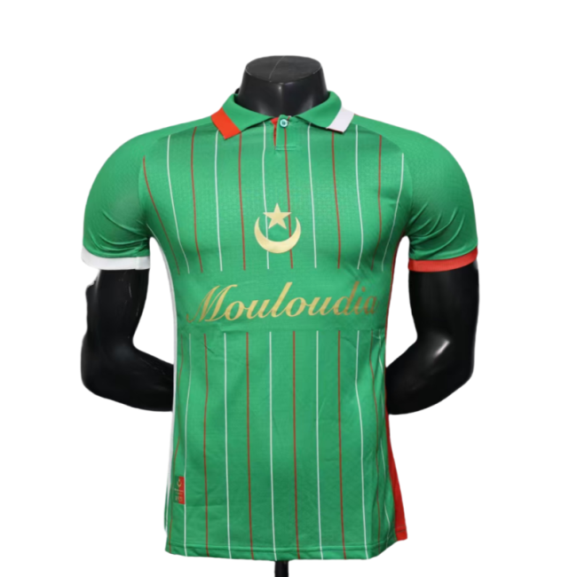 2025-26 Mens Palestine green Player version soccer jersey