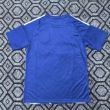 2025-26 Mens Japan Blue Special Edition Fans Soccer Jersey